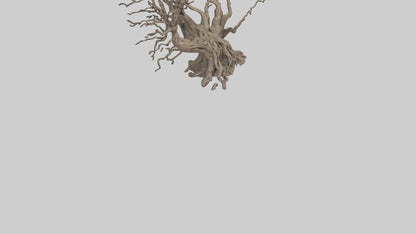 3D model Roots and Branches sculpture model VR / AR / low-poly
