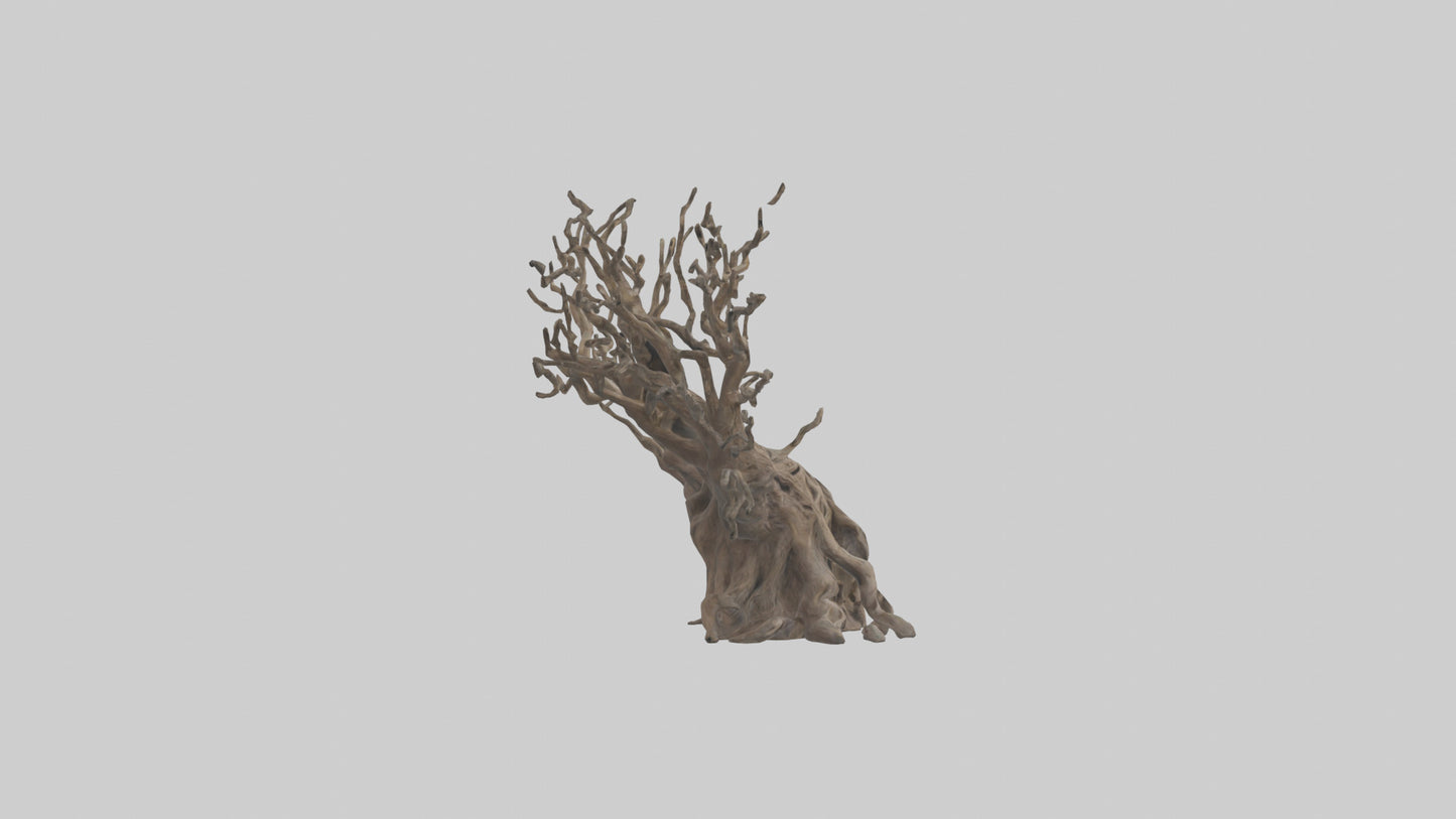 3D model Roots and Branches sculpture model VR / AR / low-poly