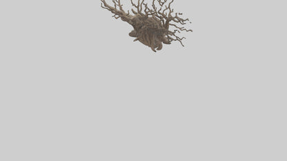 3D model Roots and Branches sculpture model VR / AR / low-poly