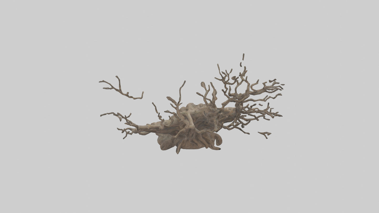 3D model Roots and Branches sculpture model VR / AR / low-poly