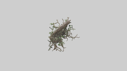 3D model Roots and Vines Sculpture model VR / AR / low-poly
