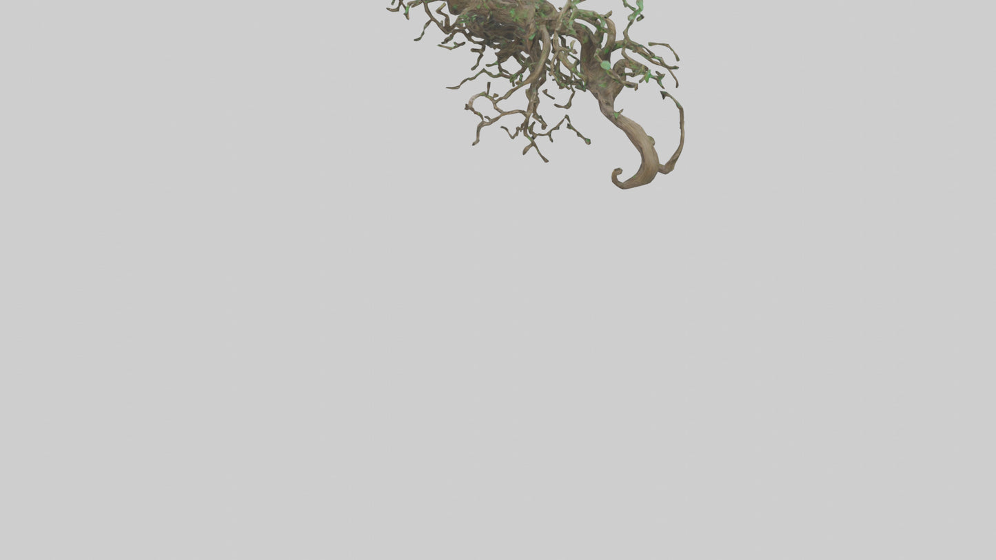 3D model Roots and Vines Sculpture model VR / AR / low-poly