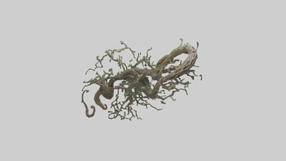3D model Roots and Vines Sculpture model VR / AR / low-poly