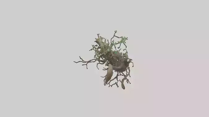 3D model Roots and Vines Sculpture model VR / AR / low-poly