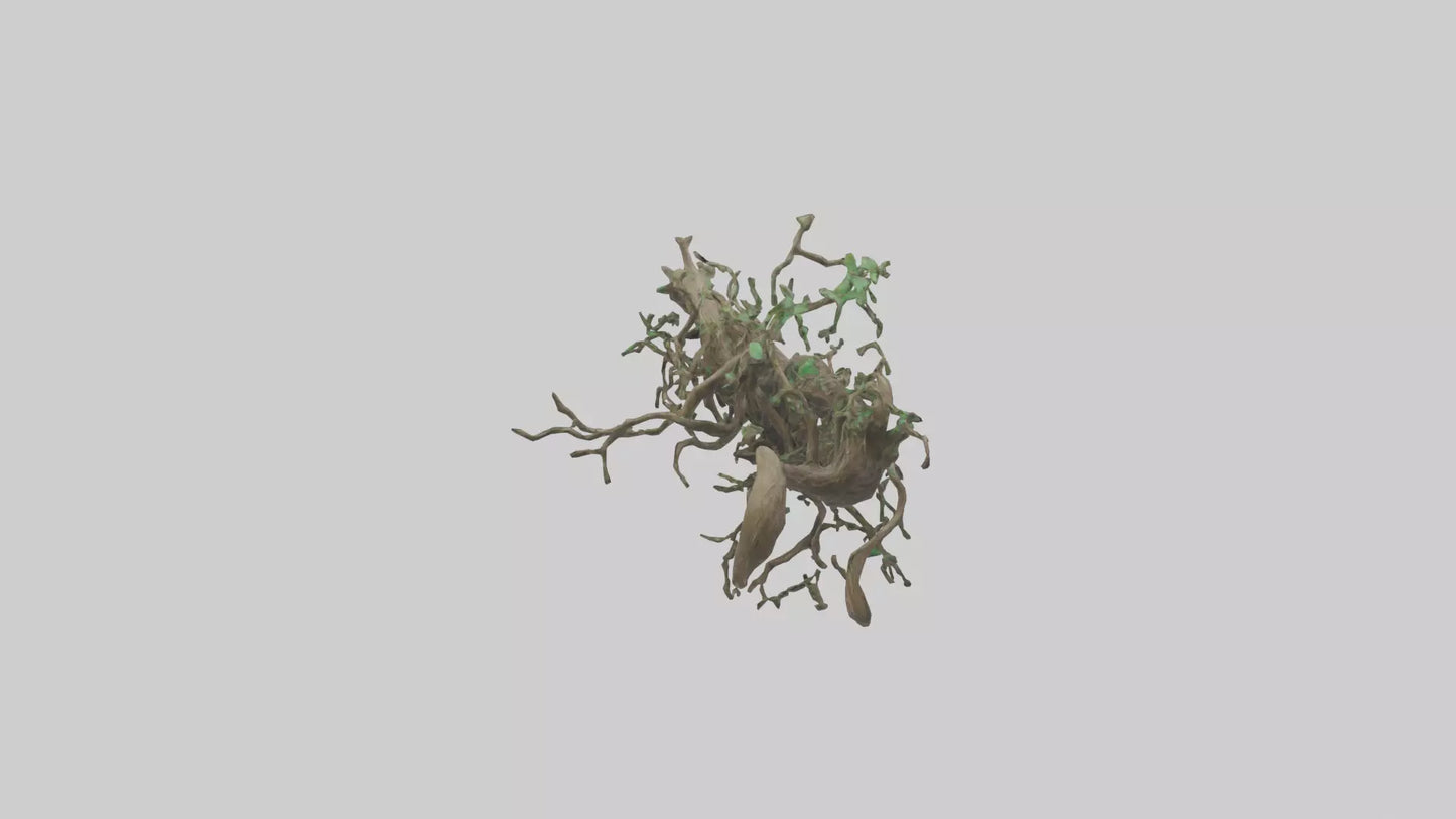 3D model Roots and Vines Sculpture model VR / AR / low-poly
