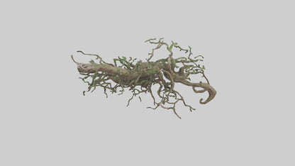 3D model Roots and Vines Sculpture model VR / AR / low-poly