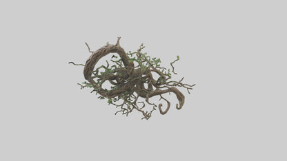 3D model Roots and Vines Sculpture model VR / AR / low-poly