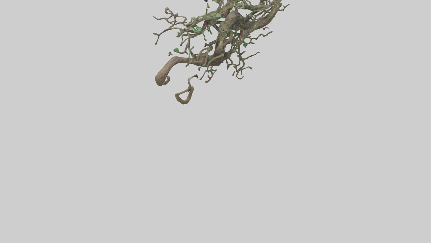 3D model Roots and Vines Sculpture model VR / AR / low-poly
