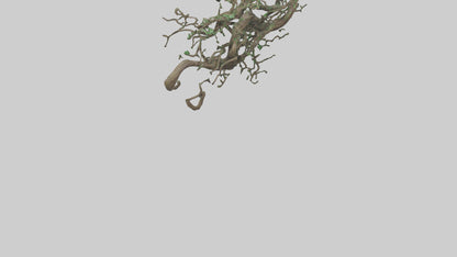 3D model Roots and Vines Sculpture model VR / AR / low-poly