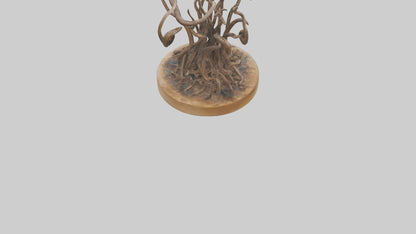 3D model Roots in Motion sculpture model VR / AR / low-poly