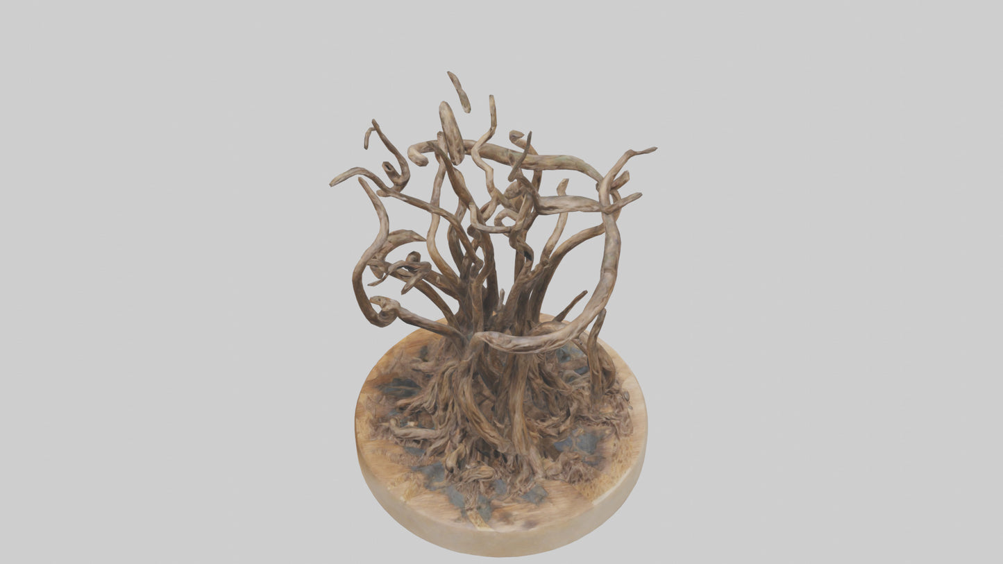 3D model Roots in Motion sculpture model VR / AR / low-poly