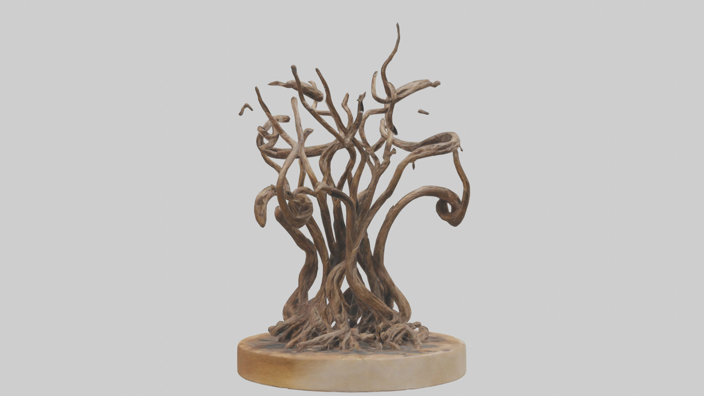 3D model Roots in Motion sculpture model VR / AR / low-poly