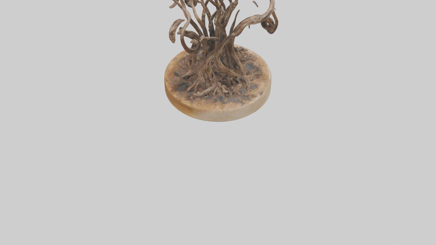 3D model Roots in Motion sculpture model VR / AR / low-poly