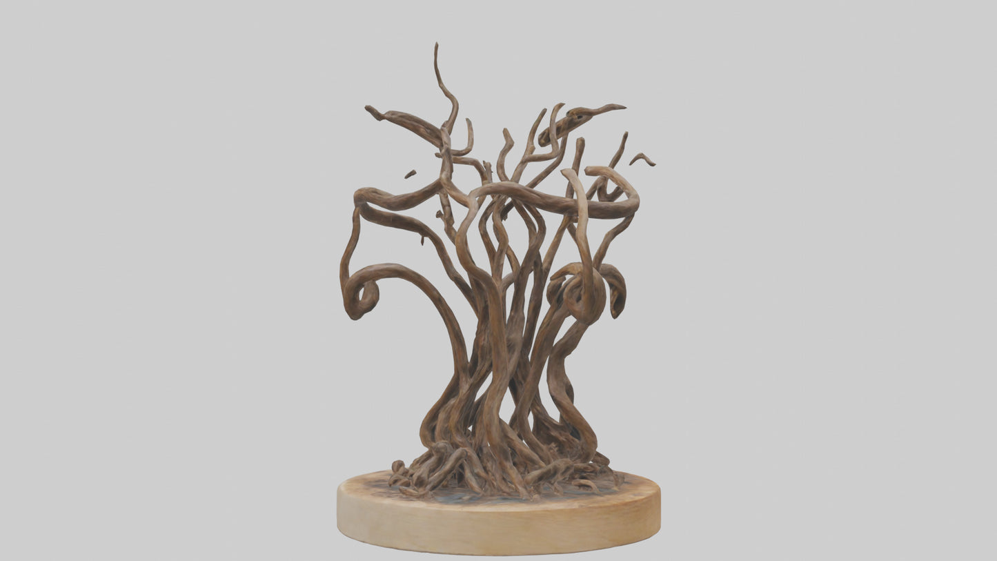 3D model Roots in Motion sculpture model VR / AR / low-poly