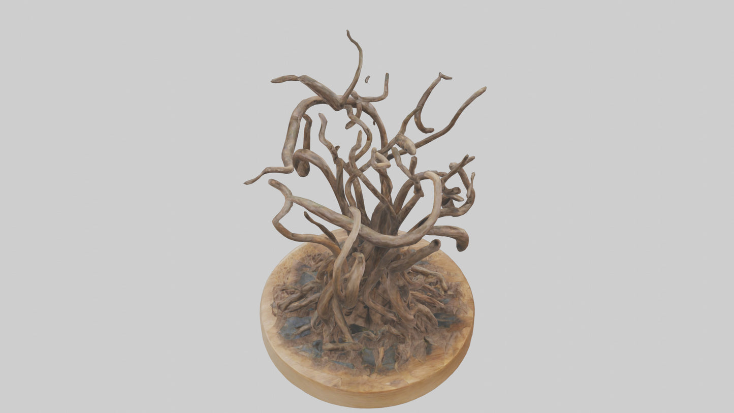 3D model Roots in Motion sculpture model VR / AR / low-poly