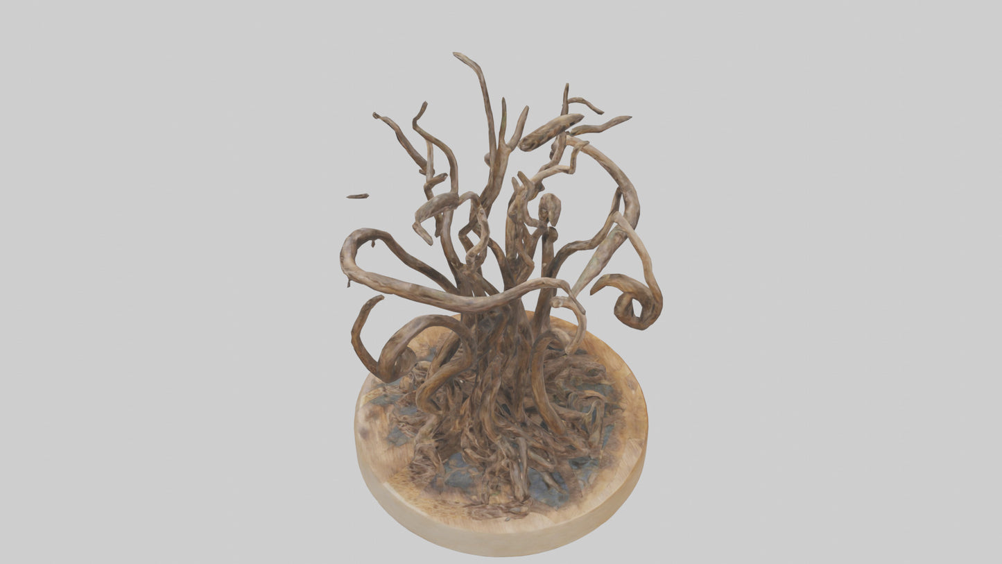 3D model Roots in Motion sculpture model VR / AR / low-poly