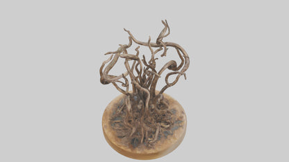 3D model Roots in Motion sculpture model VR / AR / low-poly