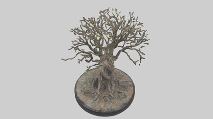 3D model Roots in Motion statue model VR / AR / low-poly