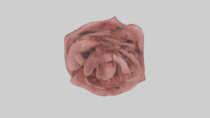 3D model Rose model VR / AR / low-poly