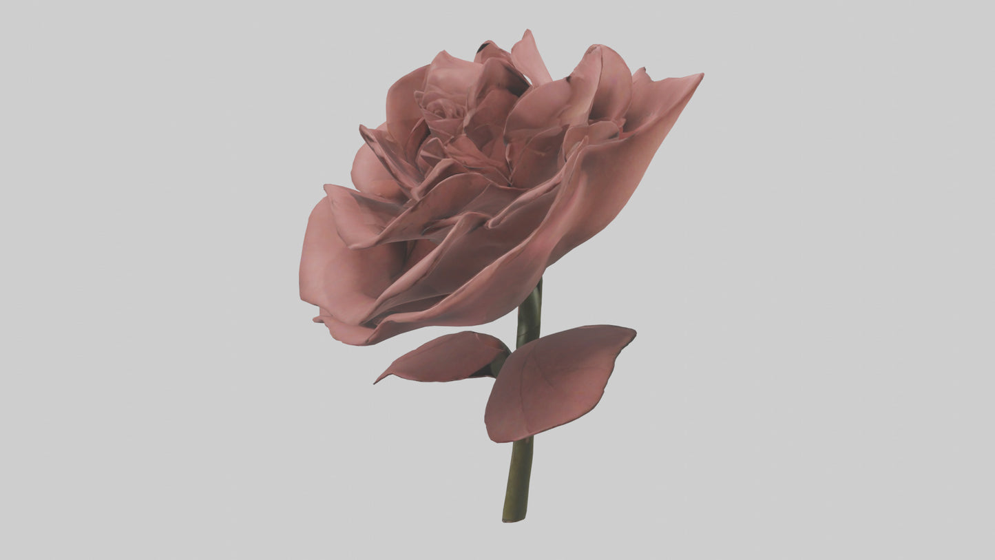 3D model Rose model VR / AR / low-poly
