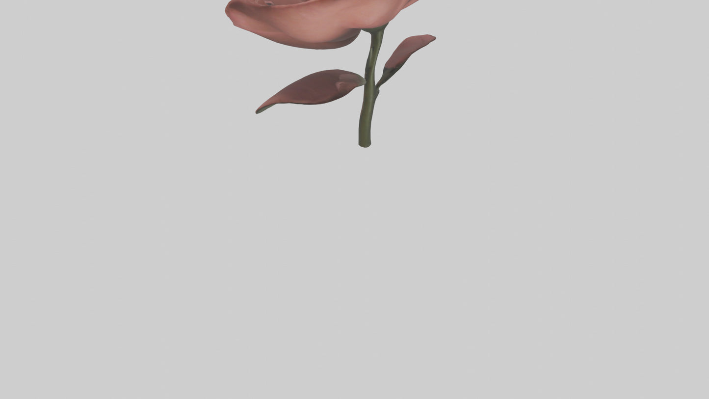 3D model Rose model VR / AR / low-poly