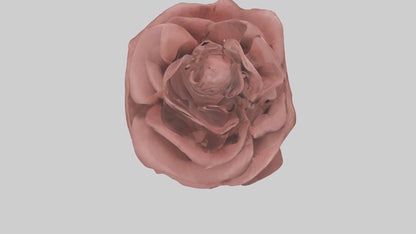 3D model Rose model VR / AR / low-poly