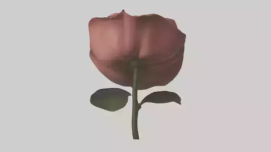 3D model Rose model VR / AR / low-poly