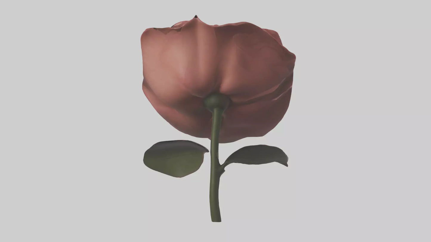 3D model Rose model VR / AR / low-poly