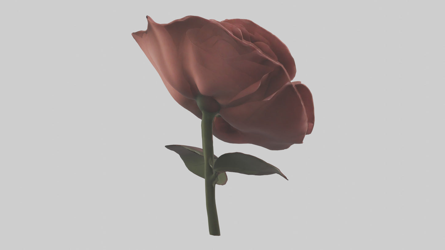 3D model Rose model VR / AR / low-poly