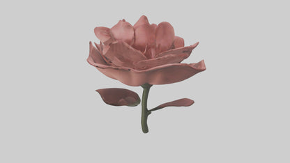 3D model Rose model VR / AR / low-poly