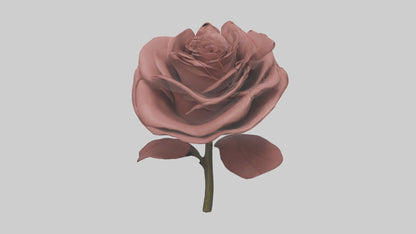 3D model Rose model VR / AR / low-poly