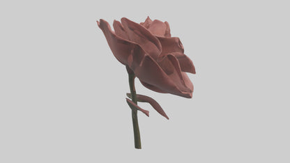 3D model Rose model VR / AR / low-poly