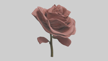 3D model Rose model VR / AR / low-poly