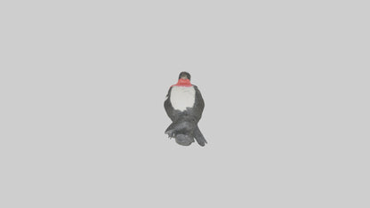 Rosebreasted Grosbeak statue model 3D model