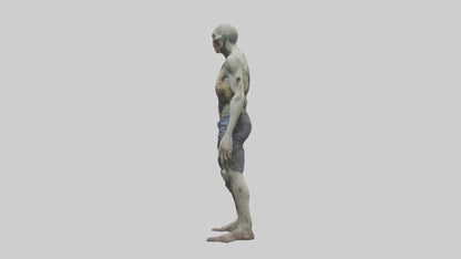 Rotting zombie model 3D model