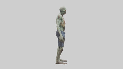 Rotting zombie model 3D model