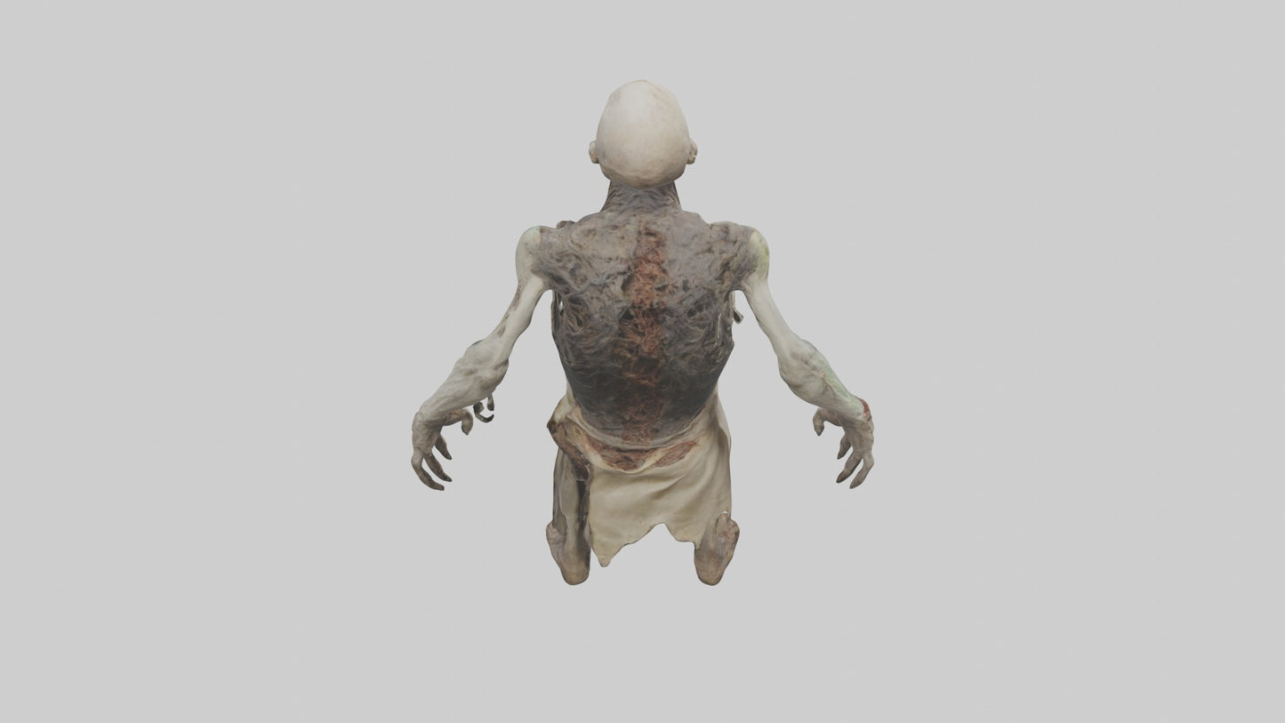 3D model Rottingcorpse Model VR / AR / low-poly