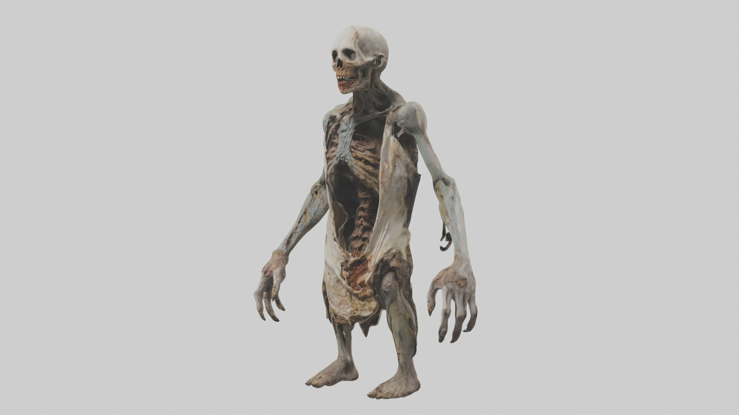 3D model Rottingcorpse Model VR / AR / low-poly