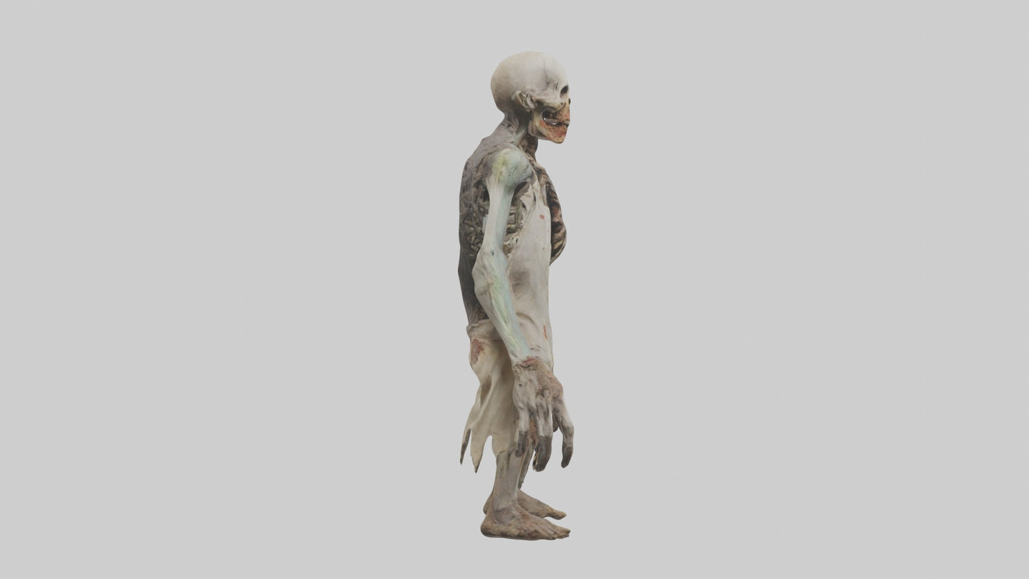 3D model Rottingcorpse Model VR / AR / low-poly