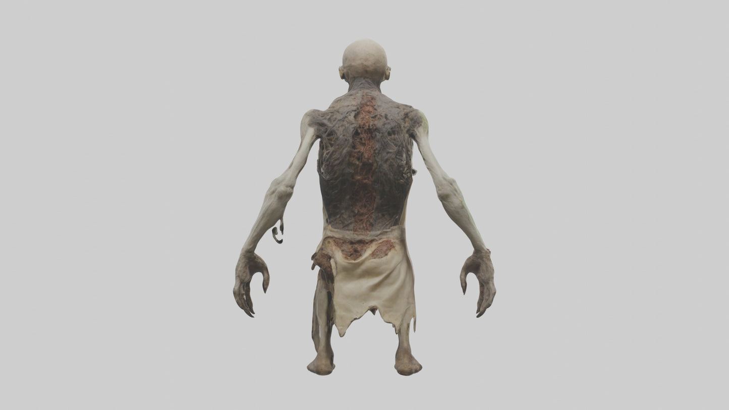 3D model Rottingcorpse Model VR / AR / low-poly