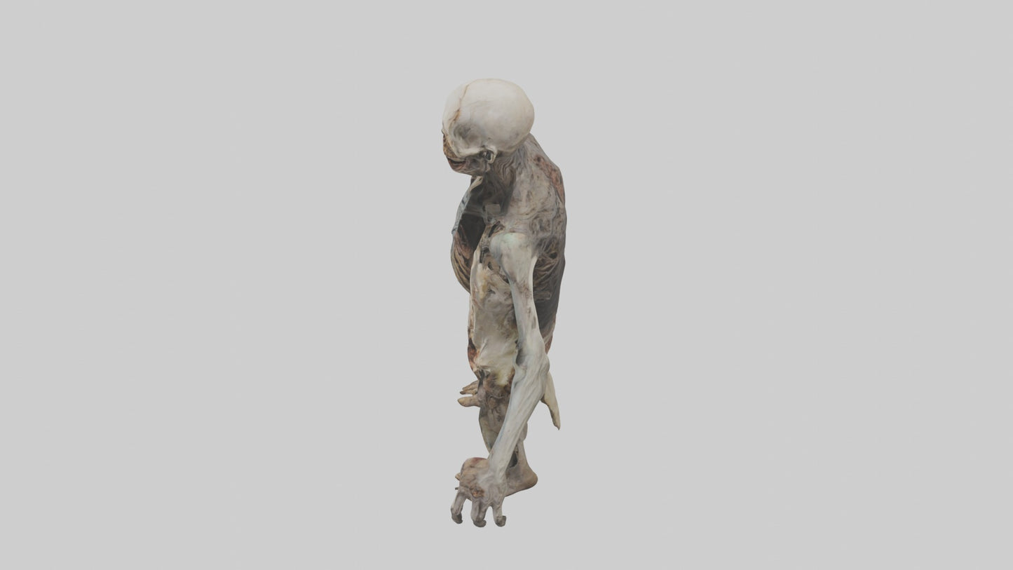3D model Rottingcorpse Model VR / AR / low-poly