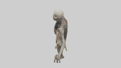 3D model Rottingcorpse Model VR / AR / low-poly