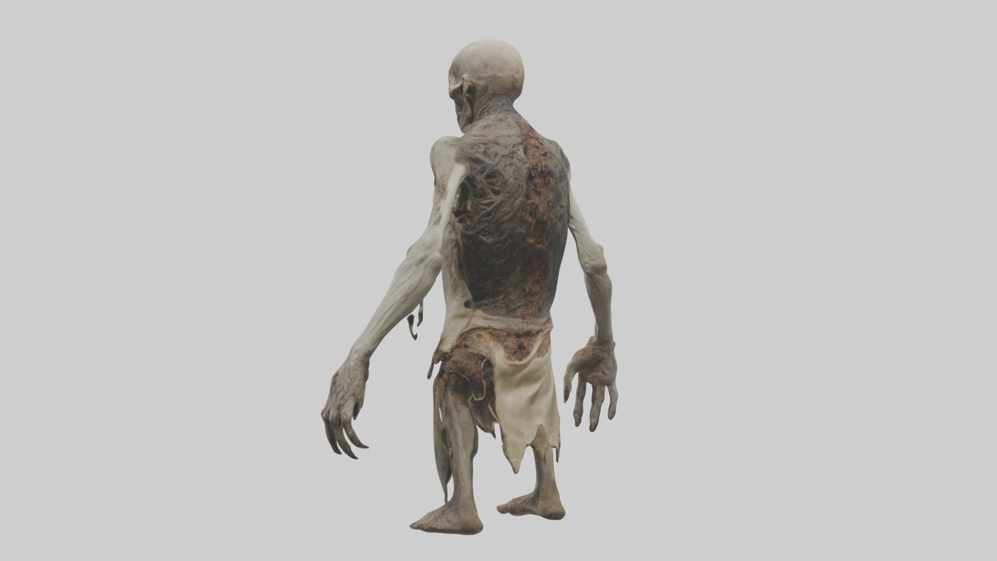 3D model Rottingcorpse Model VR / AR / low-poly