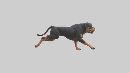 3D model Rottweiler running model VR / AR / low-poly