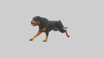 3D model Rottweiler running model VR / AR / low-poly
