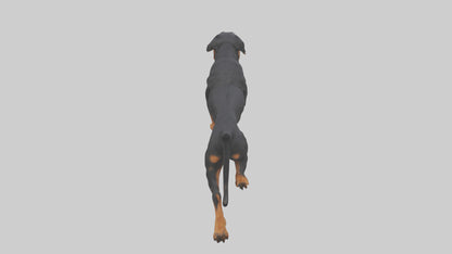 3D model Rottweiler running model VR / AR / low-poly