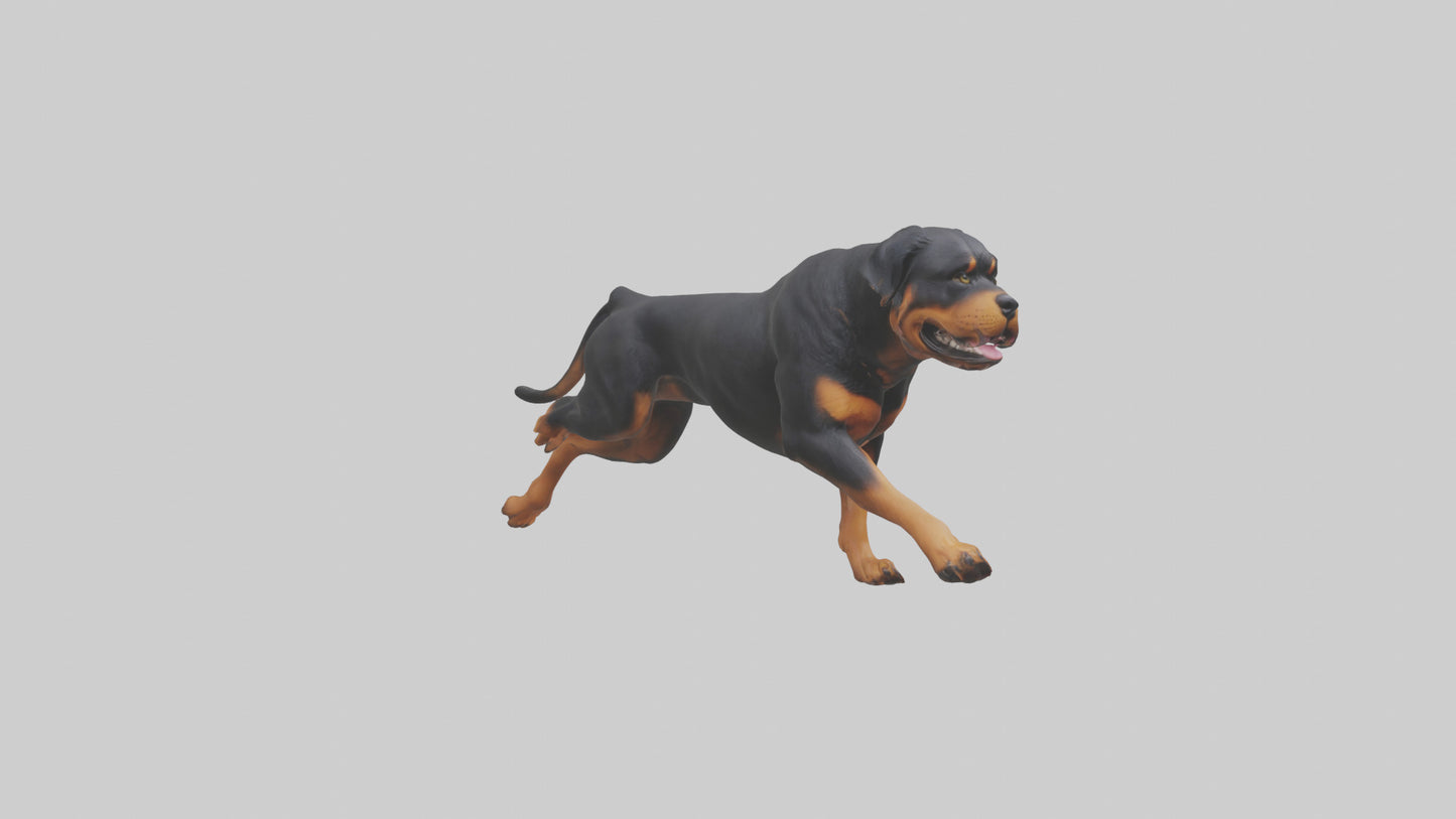3D model Rottweiler running model VR / AR / low-poly