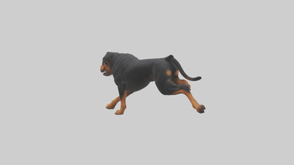 3D model Rottweiler running model VR / AR / low-poly