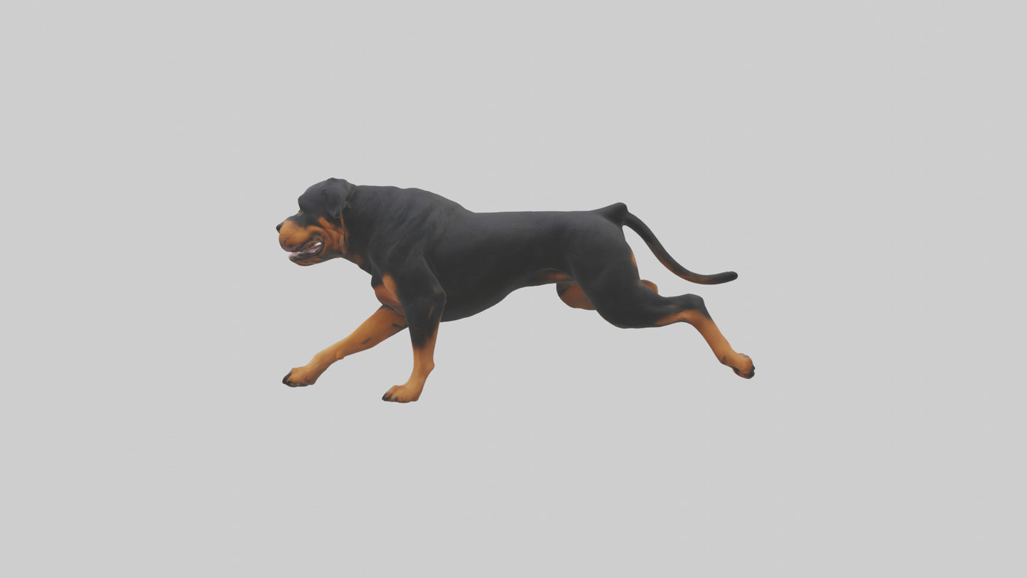 3D model Rottweiler running model VR / AR / low-poly