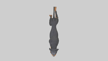 3D model Rottweiler running model VR / AR / low-poly